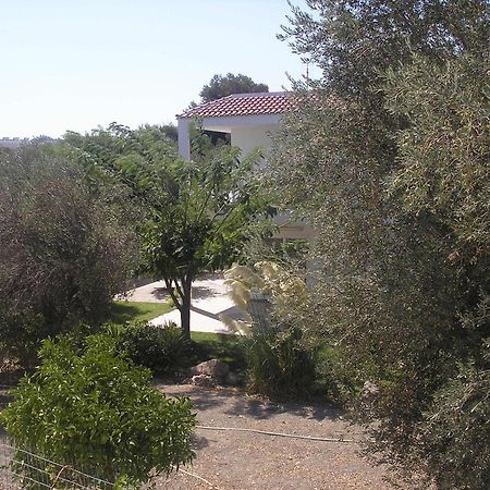 Nephele Apartments Faliraki Buitenkant foto