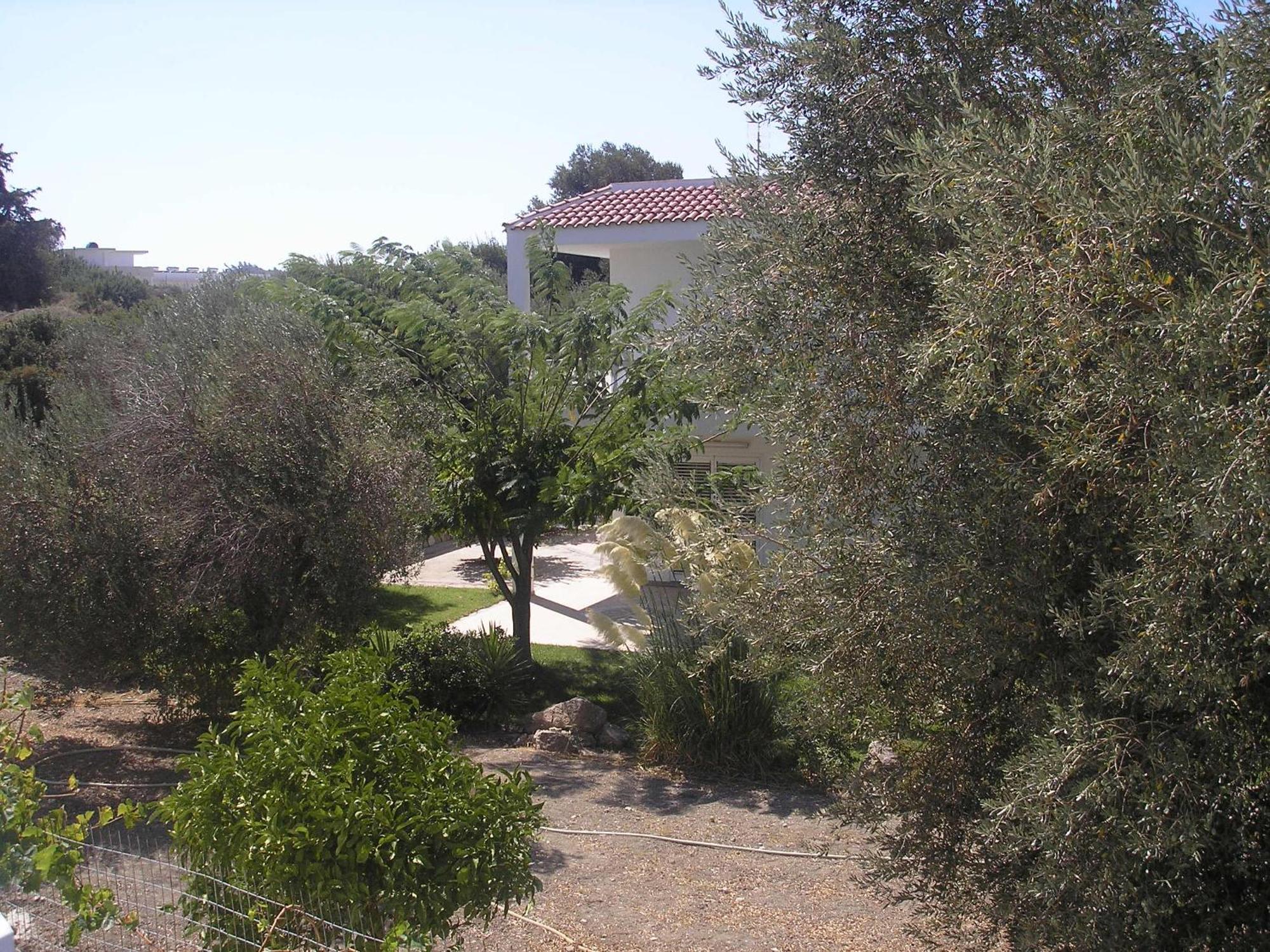 Nephele Apartments Faliraki Buitenkant foto