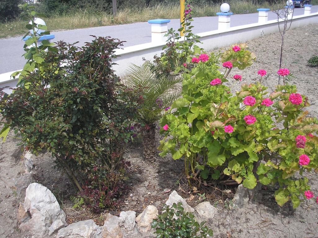 Nephele Apartments Faliraki Buitenkant foto